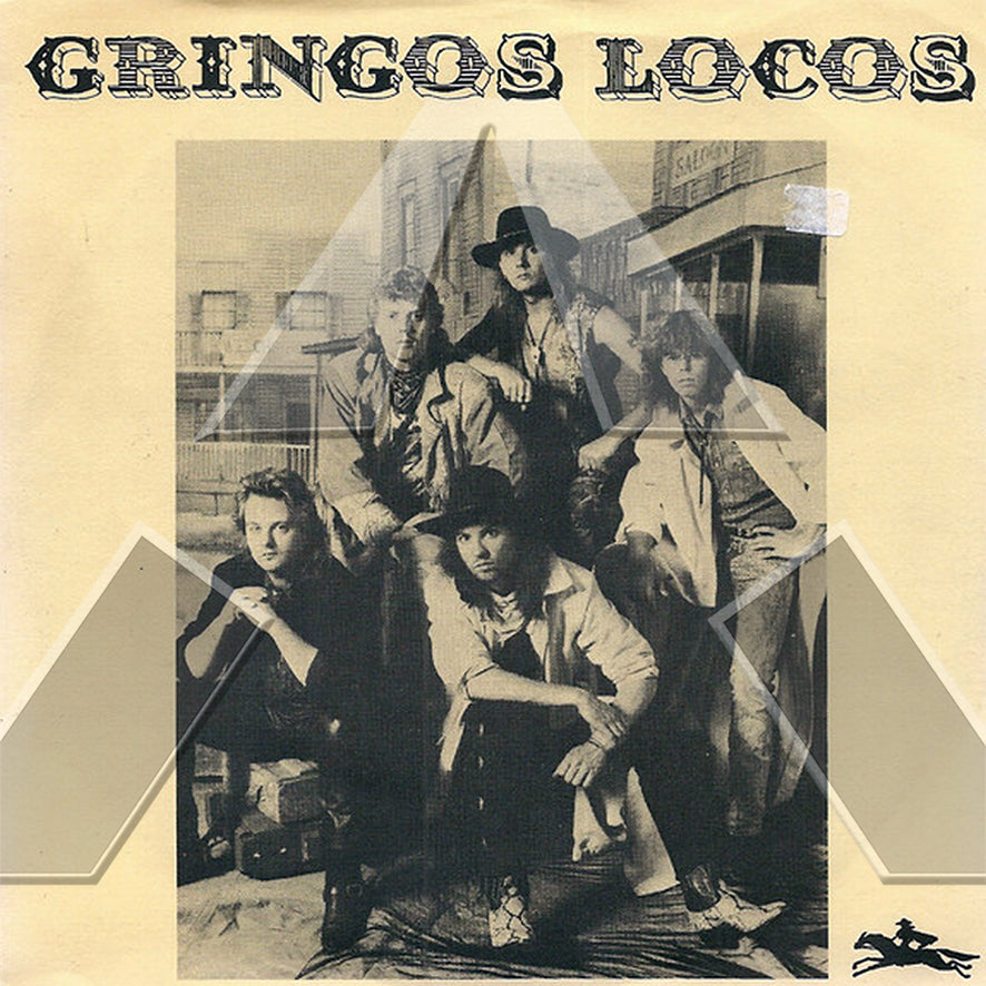 Gringos Locos ★ Punch Drunk (vinyl single - FIN DIGIS 174)