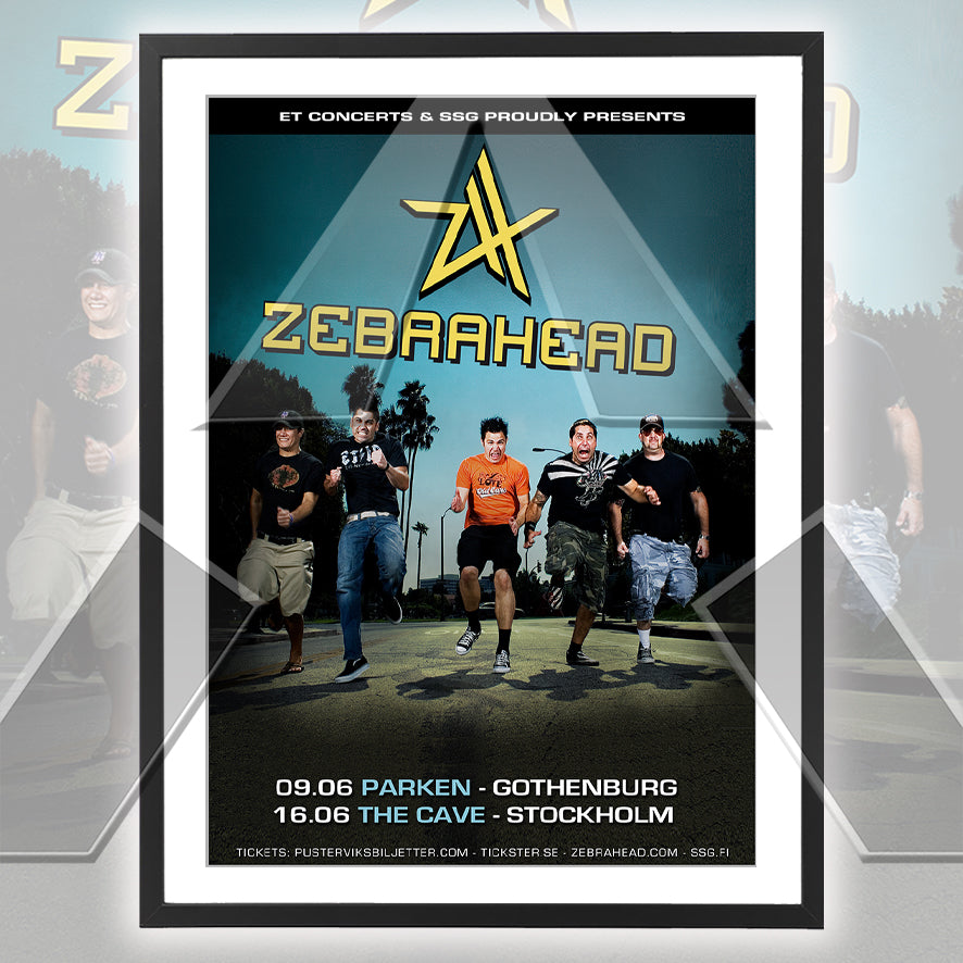 Zebrahead ★ Sweden 2010 (tour poster)