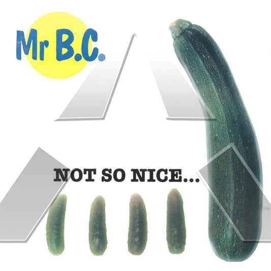 Mr B.C. ★ Not so Nice... (EU MRG CDS 960 1)
