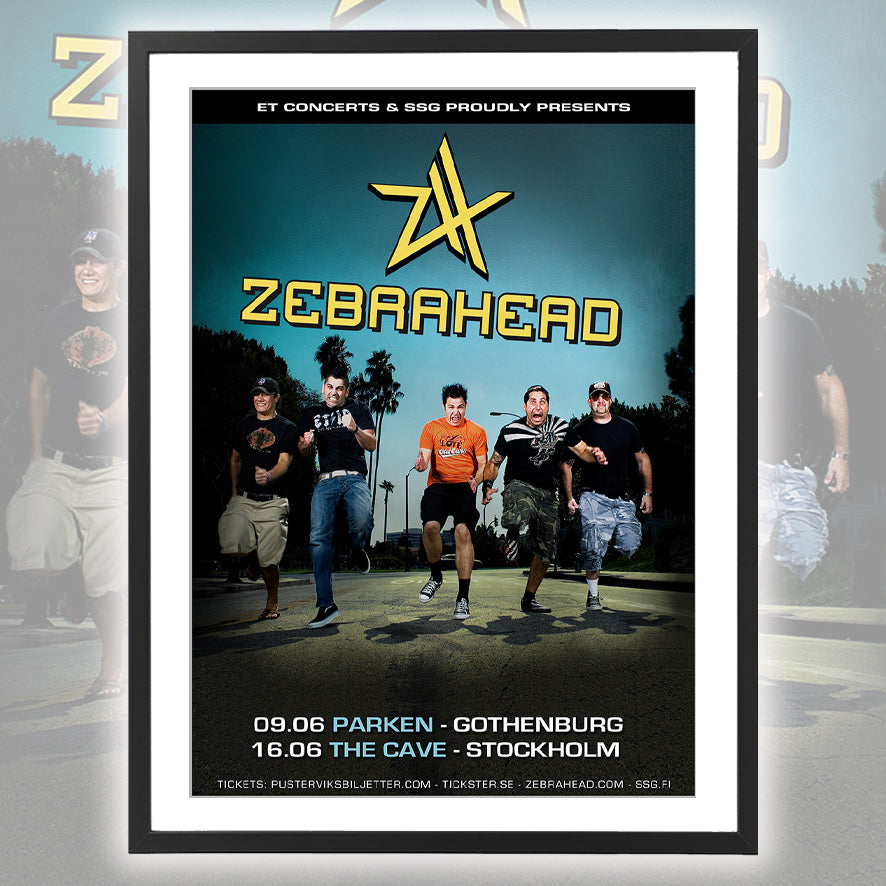Zebrahead ★ Sweden 2010