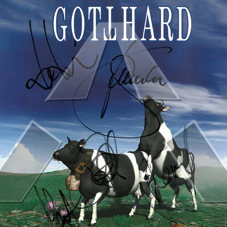 Gotthard ★ Made in Switzerland (cd album & dvd 2736116722)