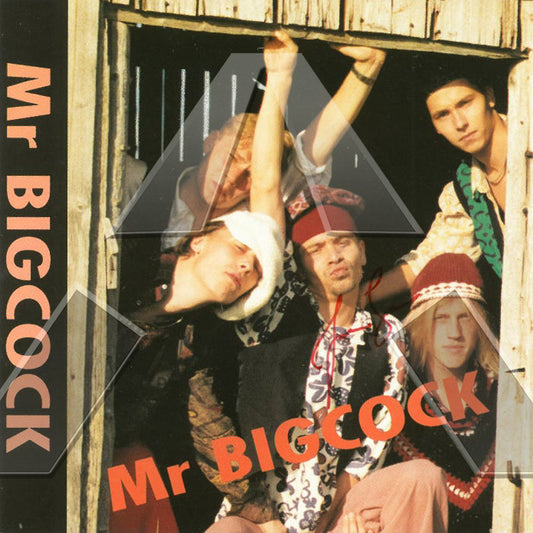 Mr Bigcock ★ Not so Nice... (cd mini ep - 2 variants)