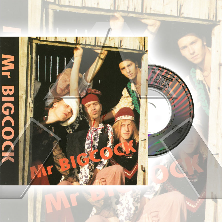 Mr Bigcock ★ Not so Nice... (cd mini ep - 2 variants)