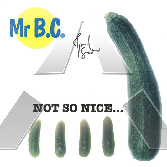 Mr B.C. ★ Not so Nice... (cd ep - 2 variants)